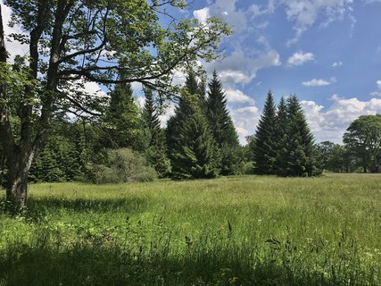 FOTKA - Zanikl umavsk obce: Hrka