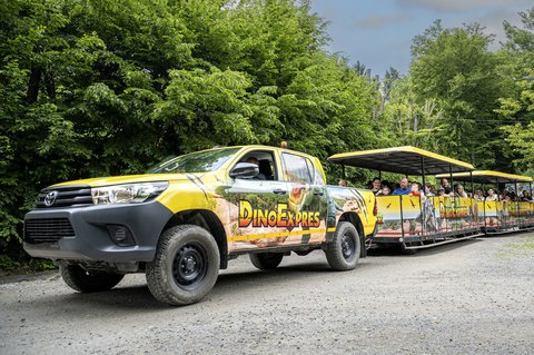 FOTKA - Prvn chodc stegosaurus m do DinoParku