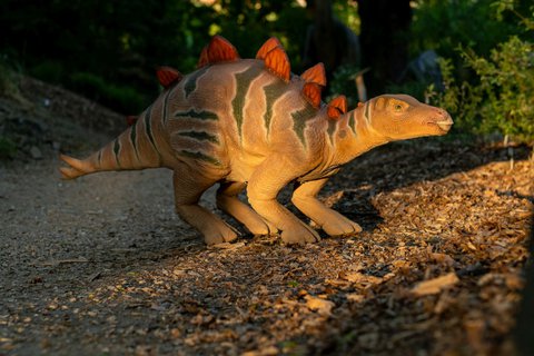 FOTKA - Prvn chodc stegosaurus m do DinoParku