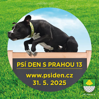 FOTKA - Ps den, kter pobav a pome