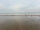 Jurmala - nejvyhledvanj letovisko v zemi