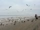 Jurmala - nejvyhledvanj letovisko v zemi