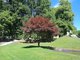 Park miniatur Marinsk Lzn