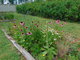 I tady jsme byli - zmeck park Liblice