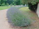 I tady jsme byli - zmeck park Liblice