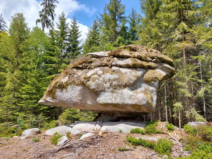 FOTKA - umavskou Medvd stezkou - na pohodu