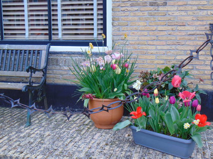 FOTKA - Nae prvn cesta do Holandska - Sloten a Lemmer