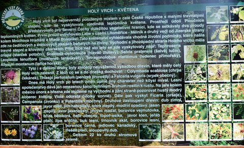 FOTKA - Dubnkov na Holm vrchu