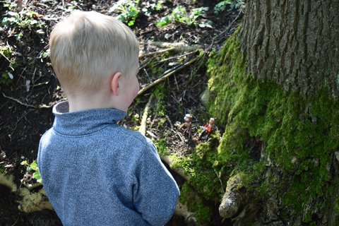 FOTKA - Dubnkov na Holm vrchu