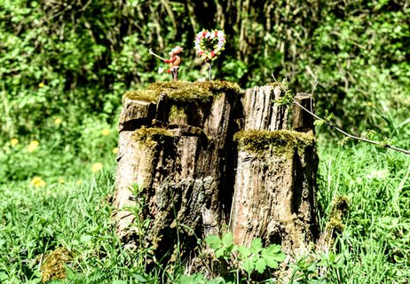 FOTKA - Dubnkov na Holm vrchu