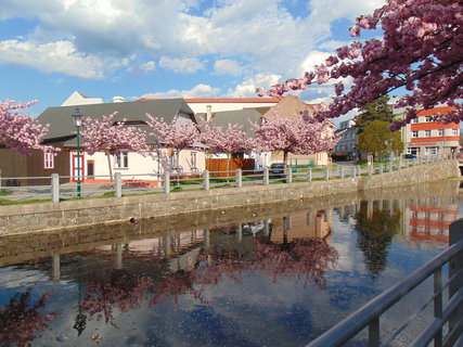 FOTKA - I tady jsme byli - Betlm Hlinsko