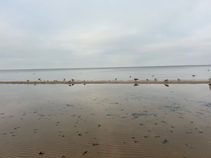 FOTKA - Jurmala - nejvyhledvanj letovisko v zemi