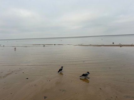 FOTKA - Jurmala - nejvyhledvanj letovisko v zemi