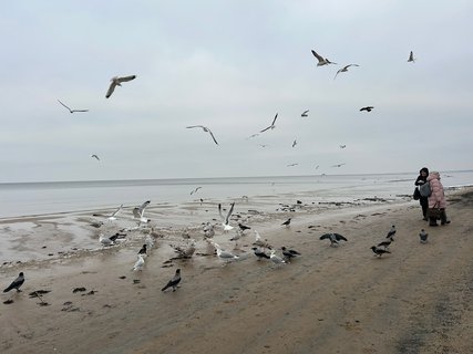 FOTKA - Jurmala - nejvyhledvanj letovisko v zemi
