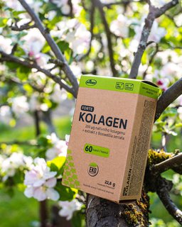FOTKA - Probiotika, kolagen a betakaroten  doplky stravy, kter by Vm na lto nemly chybt