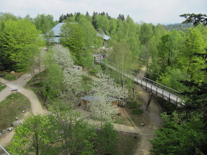 FOTKA - Bavorsk stezka korunami strom