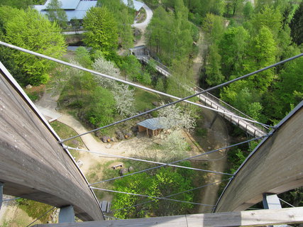 FOTKA - Bavorsk stezka korunami strom