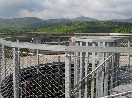 FOTKA - Bavorsk stezka korunami strom
