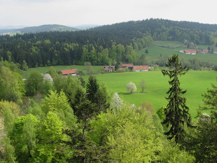 FOTKA - Bavorsk stezka korunami strom