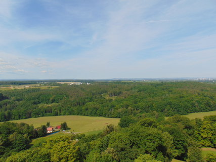 FOTKA - Vlet na Knigstein