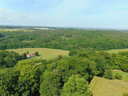 FOTKA - Vlet na Knigstein