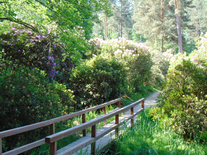 FOTKA - Nedln vlet do Kromlau
