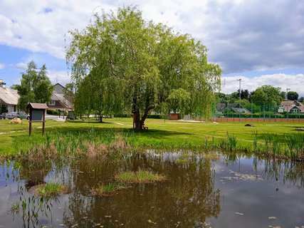 FOTKA - Deenice