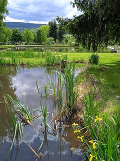 FOTKA - Deenice