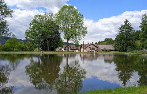 FOTKA - Deenice