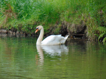 FOTKA - Nedln vlet - pokraovn - Bad Muskau
