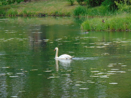 FOTKA - Nedln vlet - pokraovn - Bad Muskau