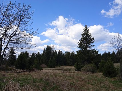 FOTKA - Bo Dar  Jekova cesta