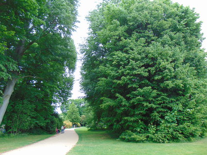 FOTKA - Nedln vlet - pokraovn - Bad Muskau