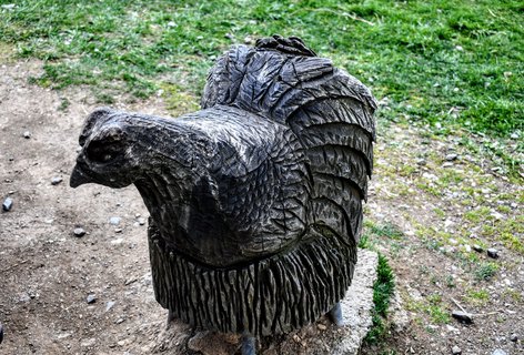 FOTKA - Bo Dar  Jekova cesta