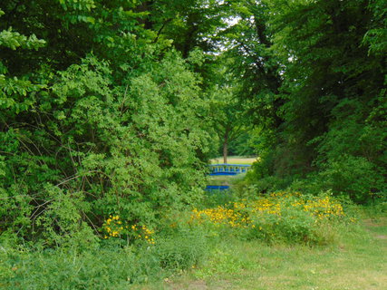 FOTKA - Nedln vlet - pokraovn - Bad Muskau