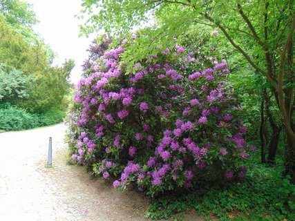FOTKA - Nedln vlet - pokraovn - Bad Muskau