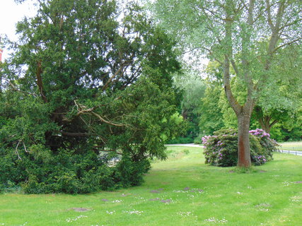 FOTKA - Nedln vlet - pokraovn - Bad Muskau