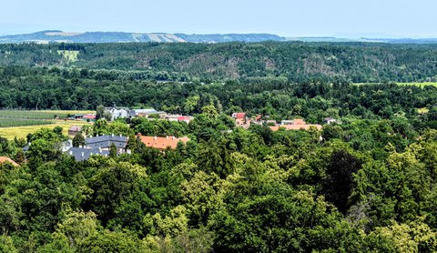 FOTKA - Putovn po esku - Petrohrad