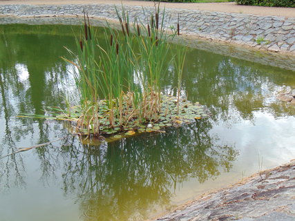FOTKA - I tady jsme byli - zmeck park Liblice