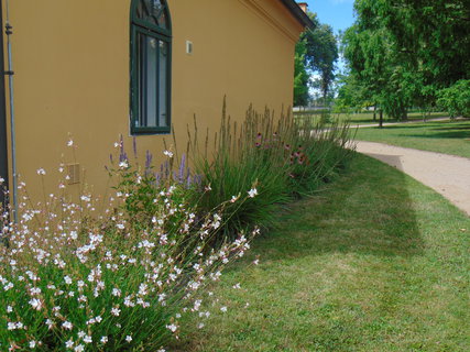 FOTKA - I tady jsme byli - zmeck park Liblice