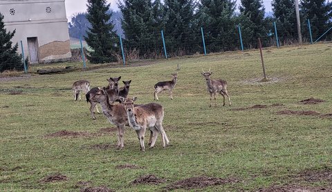 FOTKA - Svatojakubsk vchodoesk - vlet druh