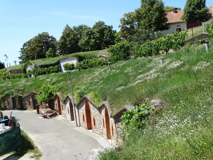 FOTKA - I tady jsme byli - Morava vinask