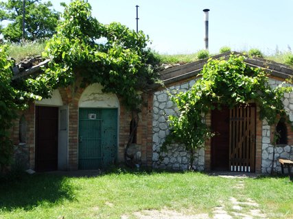 FOTKA - I tady jsme byli - Morava vinask