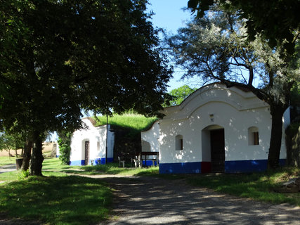 FOTKA - I tady jsme byli - Morava vinask