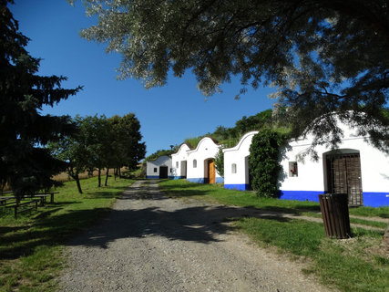 FOTKA - I tady jsme byli - Morava vinask