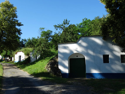 FOTKA - I tady jsme byli - Morava vinask