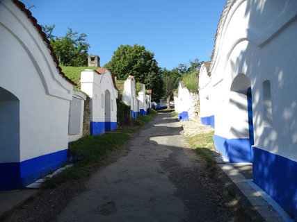 FOTKA - I tady jsme byli - Morava vinask
