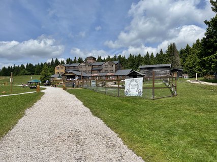 FOTKA - ZVelk py na krkonosk boudy