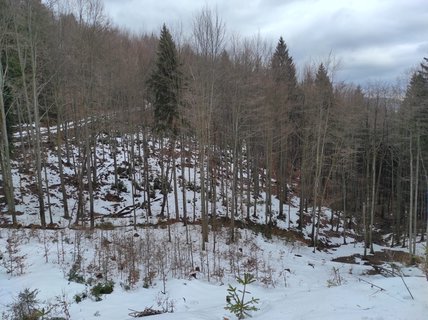 FOTKA - Na skok v Beskydech - hezk vzpomnky