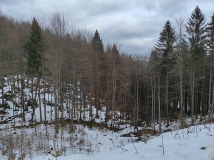 FOTKA - Na skok v Beskydech - hezk vzpomnky